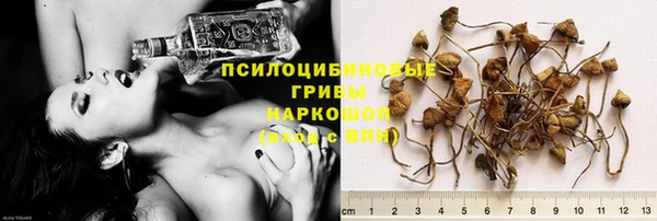 PSILOCYBIN Горнозаводск