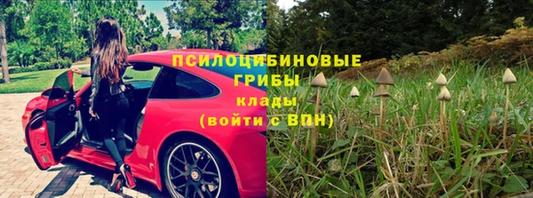 меф Горняк