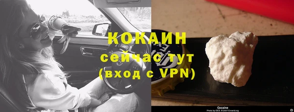 меф Горняк